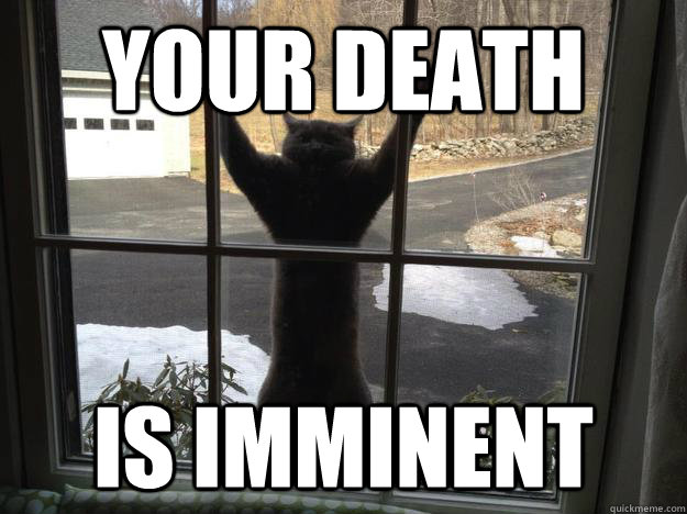 Your death is imminent  Attack Cat