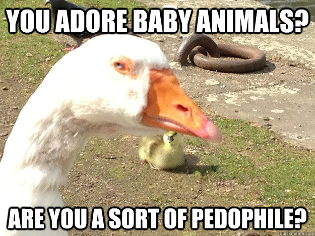 You adore baby animals? Are you a sort of pedophile?  distrustful goose