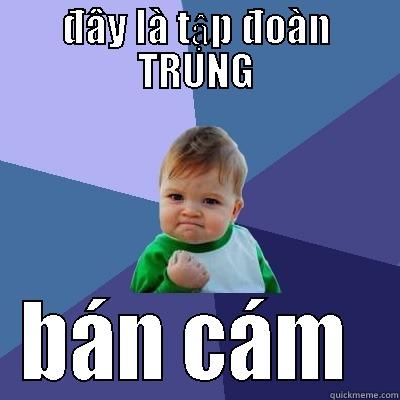 ĐÂY LÀ TẬP ĐOÀN TRUNG BÁN CÁM  Success Kid