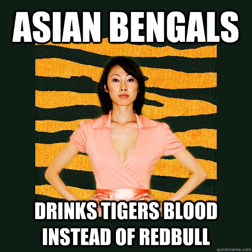 asian bengals drinks tigers blood instead of redbull  Tiger Mom