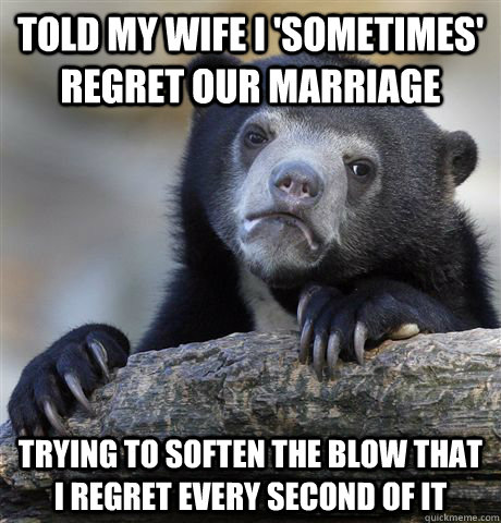 Told my wife I 'sometimes' regret our marriage trying to soften the blow that I regret every second of it  Confession Bear