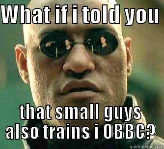 WHAT IF I TOLD YOU  THAT SMALL GUYS ALSO TRAINS I OBBC? Matrix Morpheus
