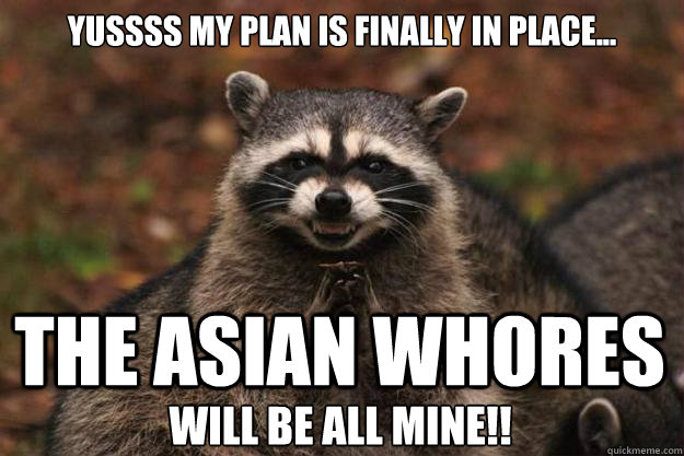 yussss my plan is finally in place... the asian whores will be all mine!!  Evil Plotting Raccoon