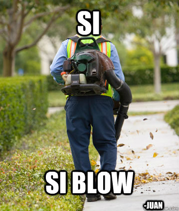 SI Si Blow -Juan - SI Si Blow -Juan  Mexican Leafblower