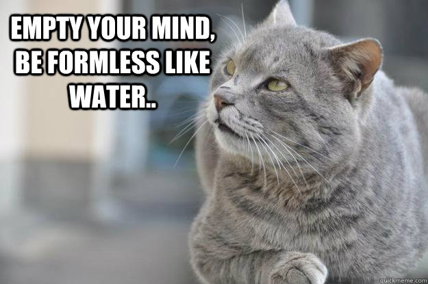 empty your mind, be formless like water.. - empty your mind, be formless like water..  bruce lee cat