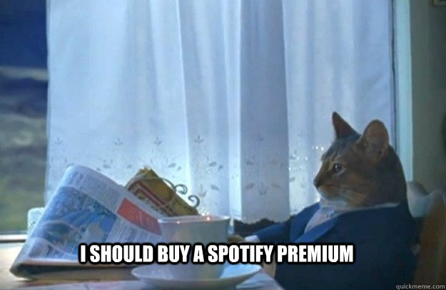 I should buy a spotify premium  Sophisticated Cat