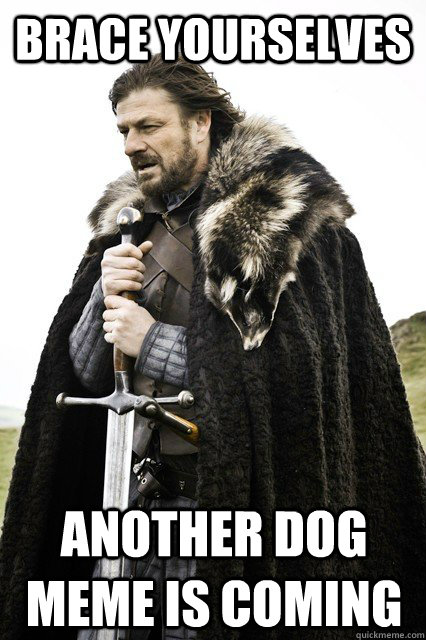 brace yourselves another dog meme is coming - brace yourselves another dog meme is coming  Brace Yourselves!