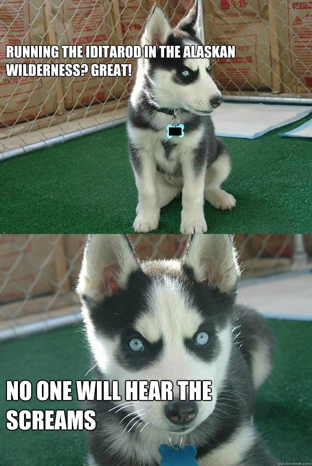 Running the iditarod in the alaskan wilderness? Great! No one will hear the screams - Running the iditarod in the alaskan wilderness? Great! No one will hear the screams  Insanity puppy