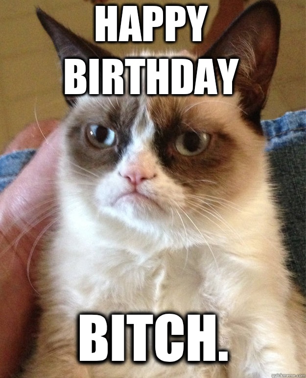 HAPPY BIRTHDAY BITCH.   grumpy cat birthday