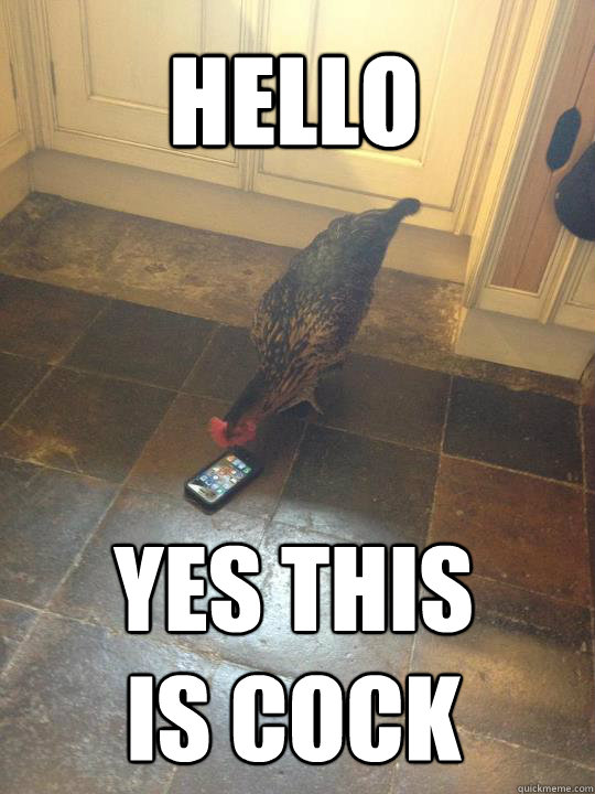 HELLO YES THIS
IS COCK  yes this is cock