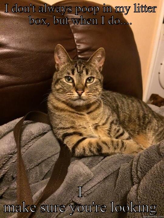 I DON'T ALWAYS POOP IN MY LITTER BOX, BUT WHEN I DO.... I MAKE SURE YOU'RE LOOKING Misc
