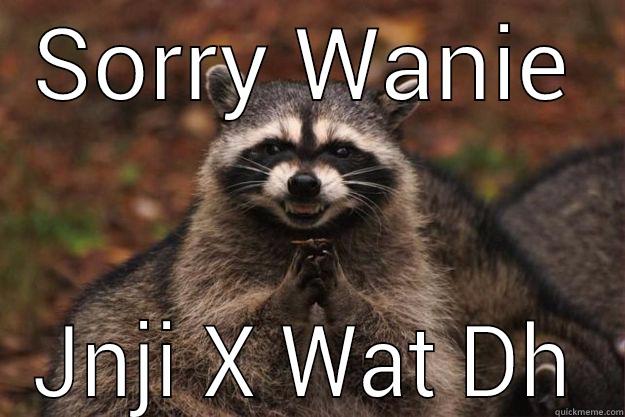 SORRY WANIE JNJI X WAT DH Evil Plotting Raccoon