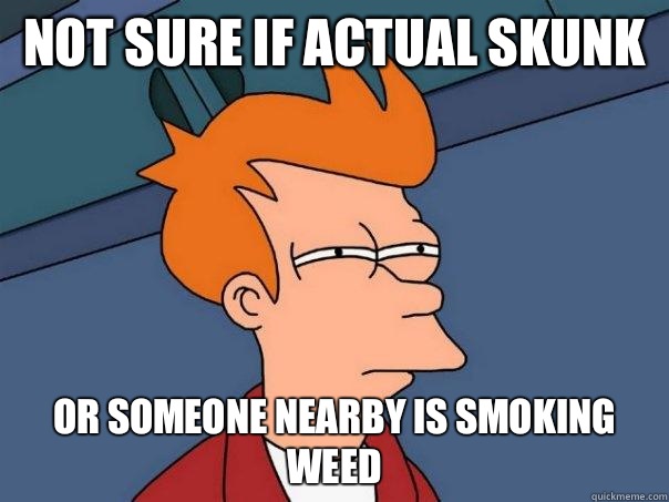 Not sure if actual skunk Or someone nearby is smoking weed  Futurama Fry