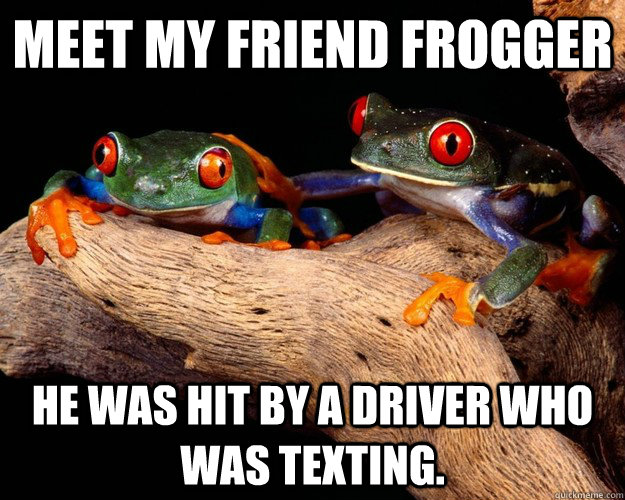 Meet my friend Frogger he was hit by a driver who was texting. no