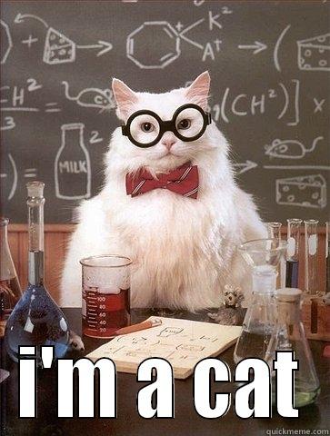  I'M A CAT Chemistry Cat