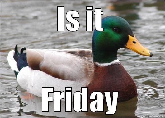 IS IT FRIDAY Actual Advice Mallard