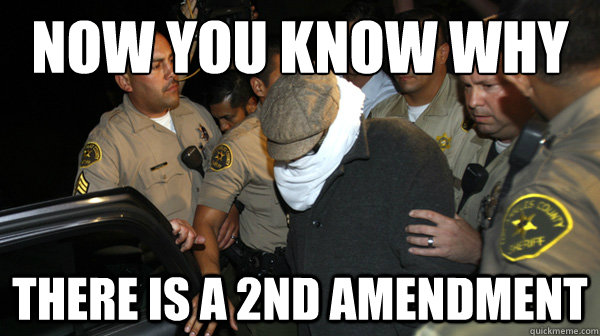 now you know why
 there is a 2nd amendment  Defend the Constitution