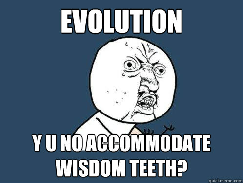 EVOLUTION Y U NO ACCOMMODATE WISDOM TEETH? - EVOLUTION Y U NO ACCOMMODATE WISDOM TEETH?  Y U No
