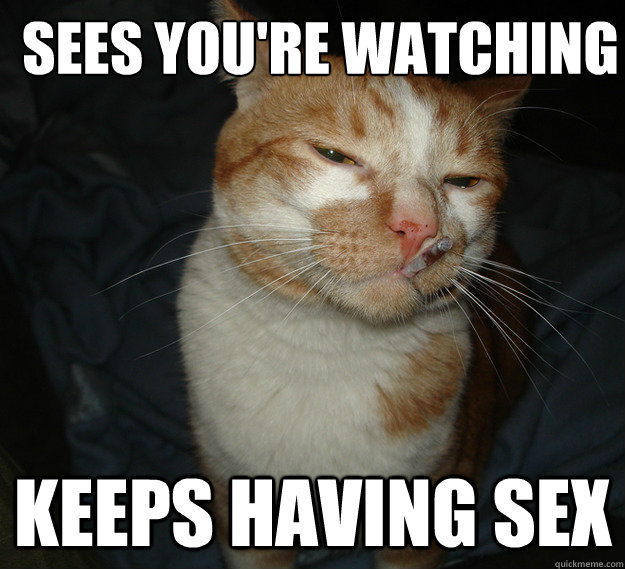 sees you're watching keeps having sex  Cool Cat Craig