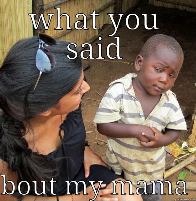 WHAT YOU SAID  BOUT MY MAMA Skeptical Third World Kid
