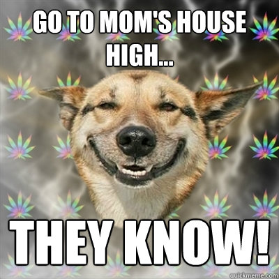 Go to mom's house high... they know!  Stoner Dog