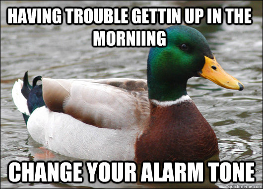 having trouble gettin up in the morniing Change your alarm tone  Actual Advice Mallard