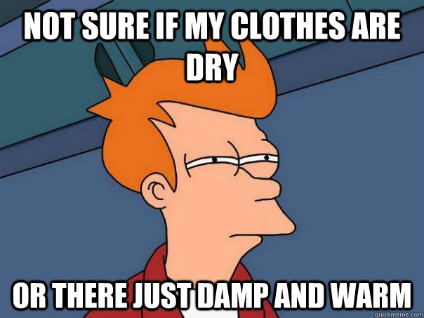 Not sure if my clothes are dry or there just damp and warm - Not sure if my clothes are dry or there just damp and warm  Futurama Fry