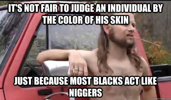It's not fair to judge an individual by the color of his skin just because most blacks act like niggers  Almost Politically Correct Redneck
