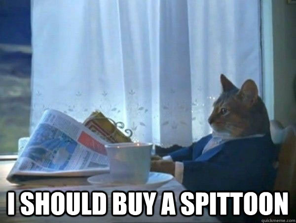  I should buy a spittoon  morning realization newspaper cat meme