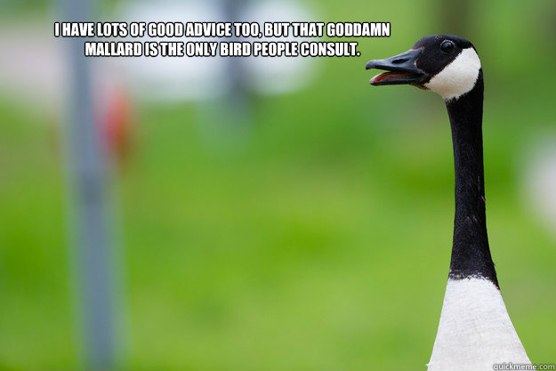 I have lots of good advice too, but that goddamn mallard is the only bird people consult. - I have lots of good advice too, but that goddamn mallard is the only bird people consult.  Misc