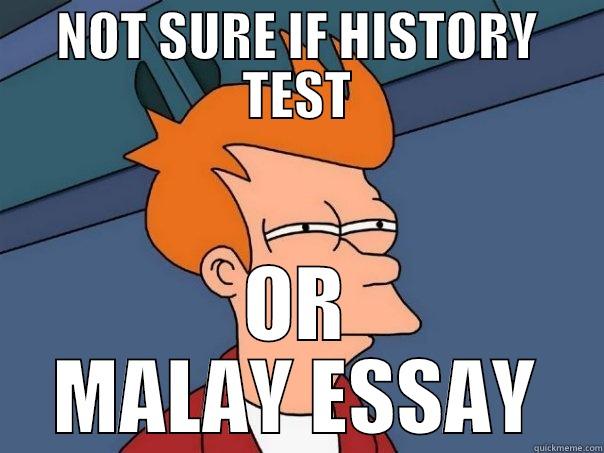NOT SURE IF HISTORY TEST OR MALAY ESSAY Futurama Fry