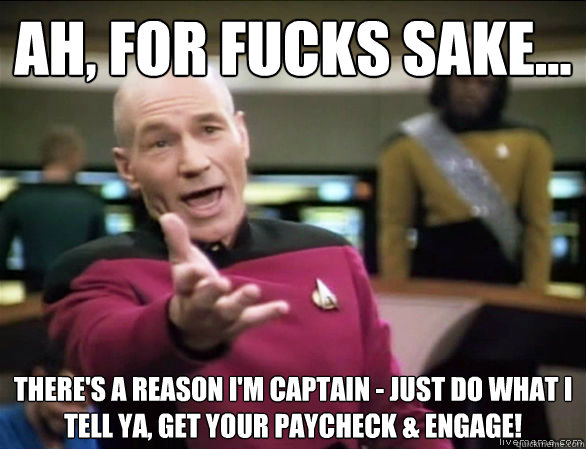 Ah, for fucks sake... there's a reason I'm Captain - just do what I tell ya, get your paycheck & engage!  Annoyed Picard HD