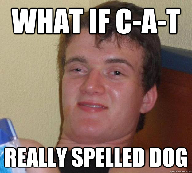 What if C-A-T Really spelled dog  10 Guy