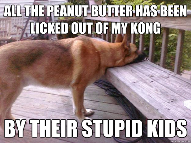 All the peanut butter has been licked out of my kong by their stupid kids - All the peanut butter has been licked out of my kong by their stupid kids  First World Dog problems