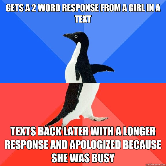 gets a 2 word response from a girl in a text texts back later with a longer response and apologized because she was busy - gets a 2 word response from a girl in a text texts back later with a longer response and apologized because she was busy  Socially Awkward Awesome Penguin