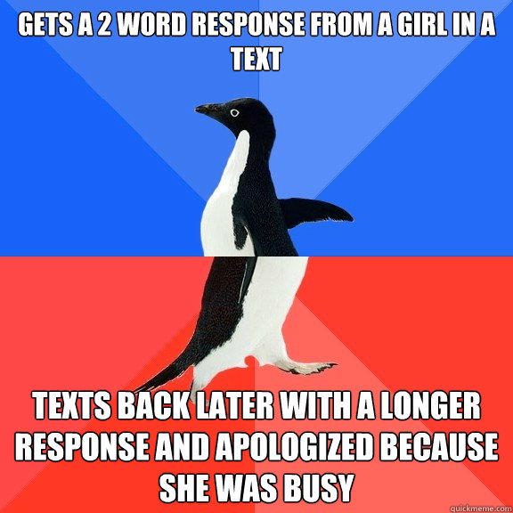 gets a 2 word response from a girl in a text texts back later with a longer response and apologized because she was busy  Socially Awkward Awesome Penguin