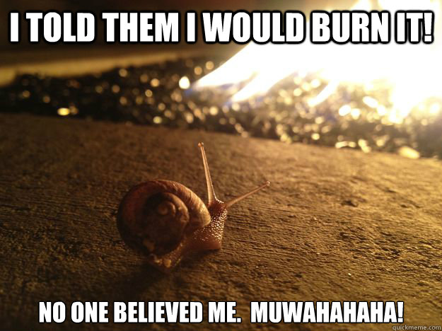 I told them I would burn it! No one believed me.  Muwahahaha! - I told them I would burn it! No one believed me.  Muwahahaha!  Psycho Snail