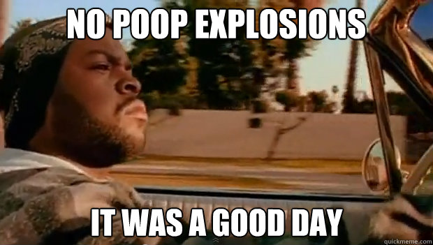 NO POOP EXPLOSIONS IT WAS A GOOD DAY  It was a good day