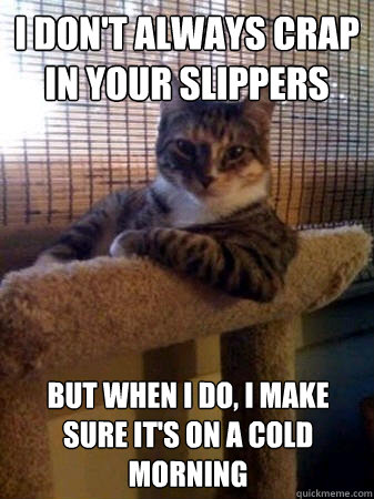 I don't always crap in your slippers but when I do, I make sure it's on a cold morning  The Most Interesting Cat in the World