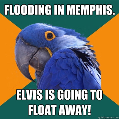 Flooding in Memphis. Elvis is going to float away!  Paranoid Parrot
