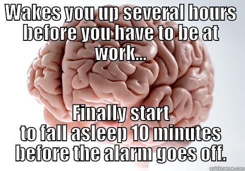 The pleasures of insomnia... - WAKES YOU UP SEVERAL HOURS BEFORE YOU HAVE TO BE AT WORK... FINALLY START TO FALL ASLEEP 10 MINUTES BEFORE THE ALARM GOES OFF. Scumbag Brain
