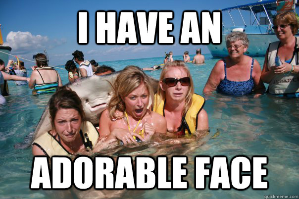 I have an adorable face  Pervert Stingray