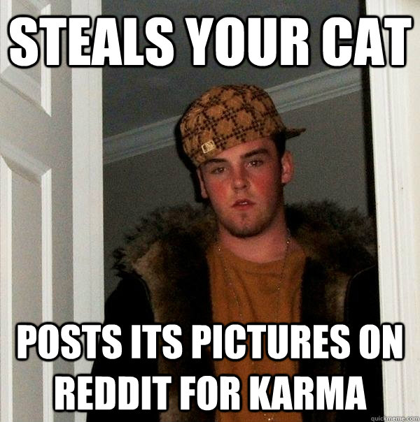 steals your cat posts its pictures on reddit for karma  Scumbag Steve