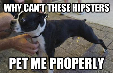 WHY CAN'T THESE HIPSTERS PET ME PROPERLY - WHY CAN'T THESE HIPSTERS PET ME PROPERLY  Misc
