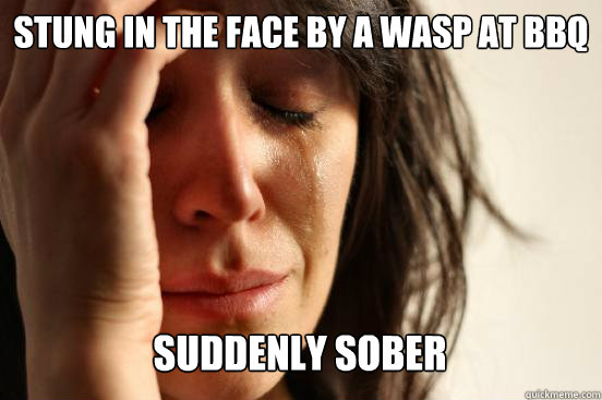 Stung in the face by a wasp at BBQ
 Suddenly Sober Caption 3 goes here  First World Problems