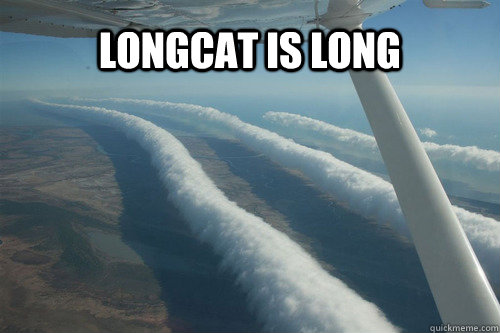 LONGCAT IS LONG  LONGCAT IS LONG