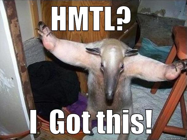 Hmtl? I Got this! - HMTL? I  GOT THIS! I got this