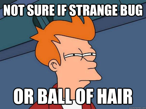 Not sure if strange bug  Or ball of hair  Futurama Fry