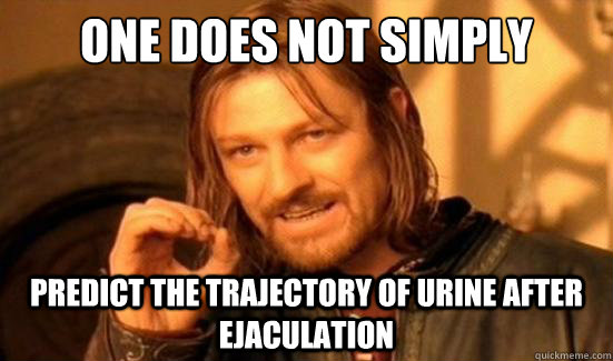 One Does Not Simply predict the trajectory of urine after ejaculation  Boromir