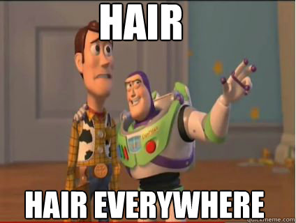 Hair Hair everywhere  woody and buzz